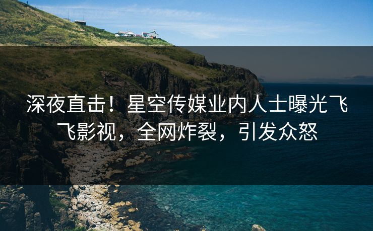 深夜直击！星空传媒业内人士曝光飞飞影视，全网炸裂，引发众怒