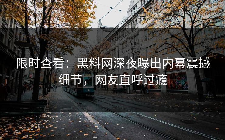 限时查看：黑料网深夜曝出内幕震撼细节，网友直呼过瘾