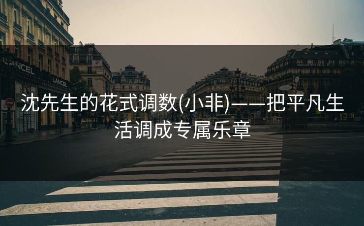 沈先生的花式调数(小非)——把平凡生活调成专属乐章
