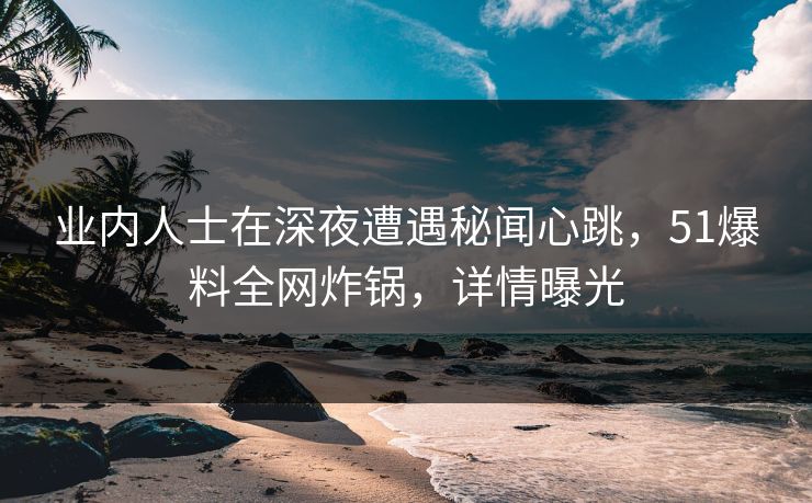 业内人士在深夜遭遇秘闻心跳，51爆料全网炸锅，详情曝光